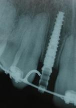 1210_1b.jpg 1210_1b.jpg