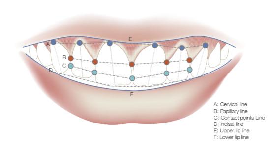 TG2_2110_Fig_1.jpg TG2_2110_Fig_1.jpg