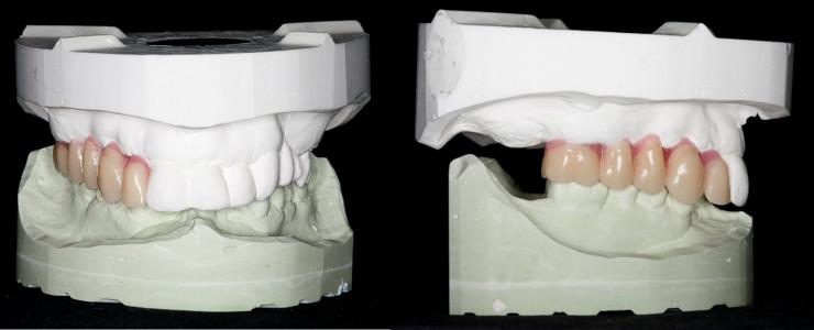 TG2_3125_Figure_2.jpg TG2_3125_Figure_2.jpg