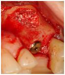 TG2_3165_Fig_15.jpg TG2_3165_Fig_15.jpg