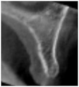 TG2_3165_Fig_2.jpg TG2_3165_Fig_2.jpg
