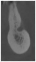 TG2_3165_Fig_5.jpg TG2_3165_Fig_5.jpg