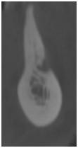 TG2_3165_Fig_6.jpg TG2_3165_Fig_6.jpg