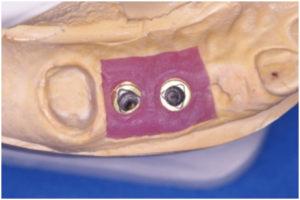 TG2_4520_Fig_4.jpg TG2_4520_Fig_4.jpg